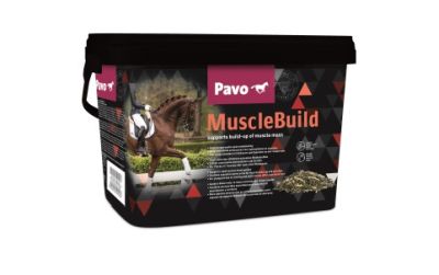 Pavo -Muscle Build- 3 Kg