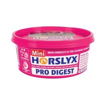 Horslyx Leckmasse -Pro Digest- 650g