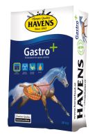 Havens -Gastro + 20 Kg